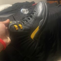 Jordan 12s