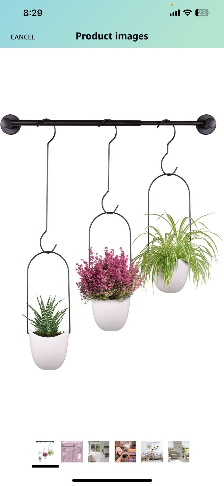 Hanging Planters For Indoor Plants
