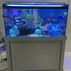 120g Reef Ready Aquarium 