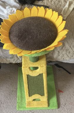 Cat Scratching Post