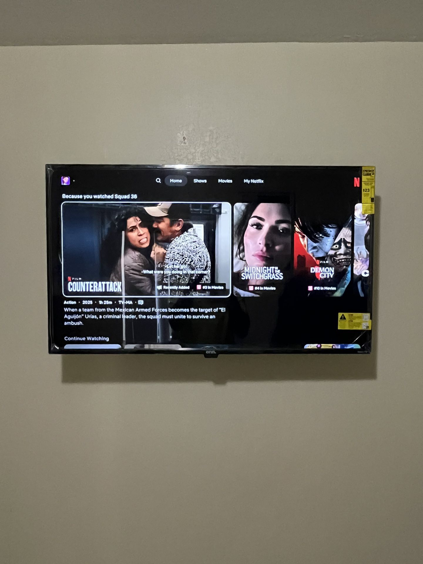 Mount Your Tv/ Hide Wires