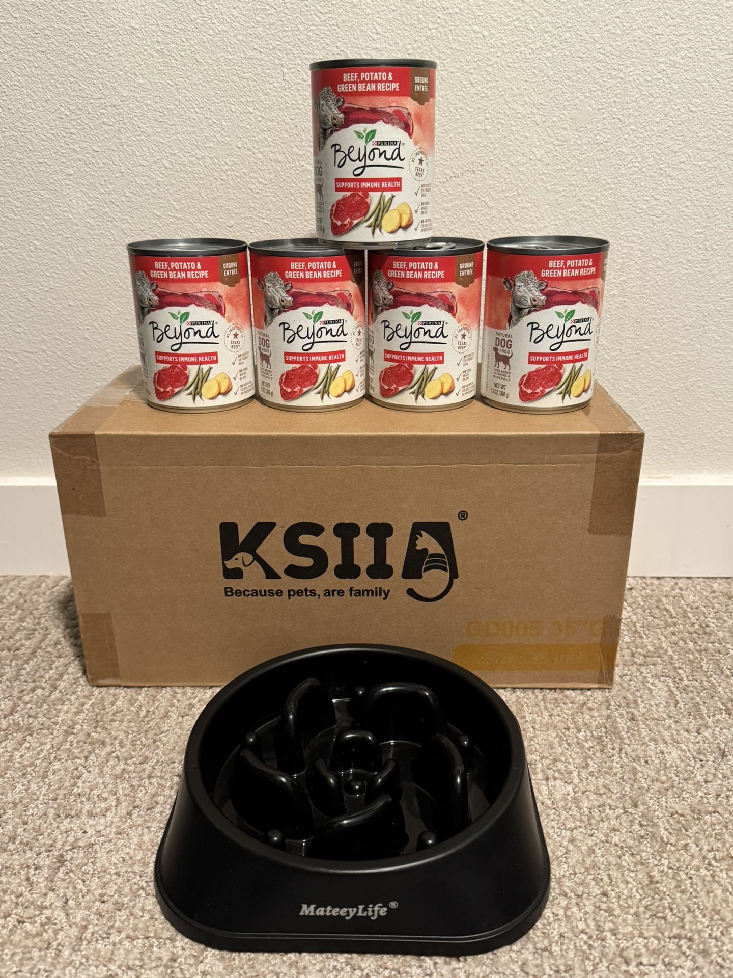 Dog bed bowl and food