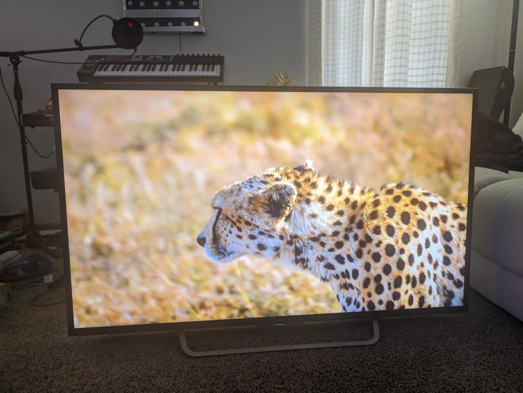 55 inch sony ultra hd 4k with hdr 