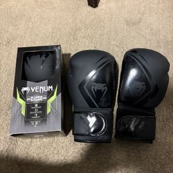 Venum Sparring Gloves And Boxing Gloves 