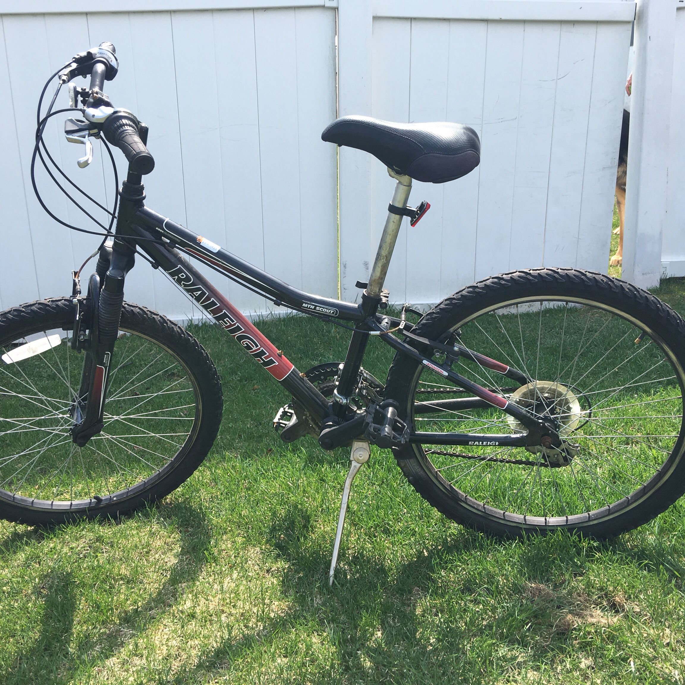 Raleigh mountain scout hotsell