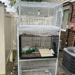 Three types of bird cage