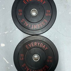 55lb Pair Bumper Plates