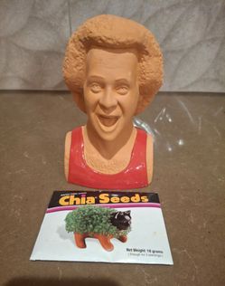 Richard Simmons Chia Pet Planter