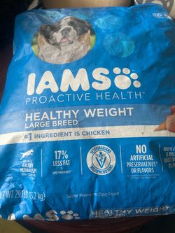 IAMS adult dog food