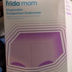 Frida Mom Disposiable Post Pardom Underwear 