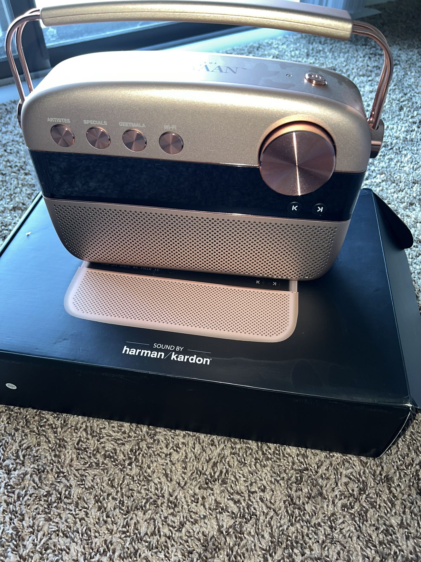 Saregama Carvaan Gold 2.0 - Rose gold