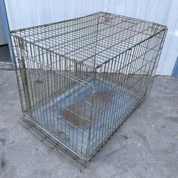 Single Door, Collapsible, Wire, Dog Crate, Size Large