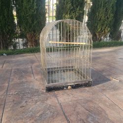 Bird Cage 