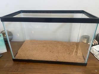 Reptile Open Glass Tank