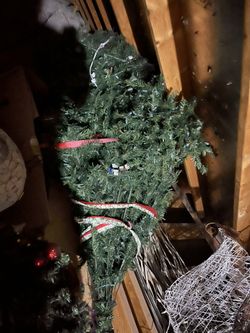 Really Big Christmas tree