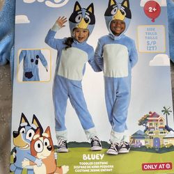 Bluey Costume Size 2T