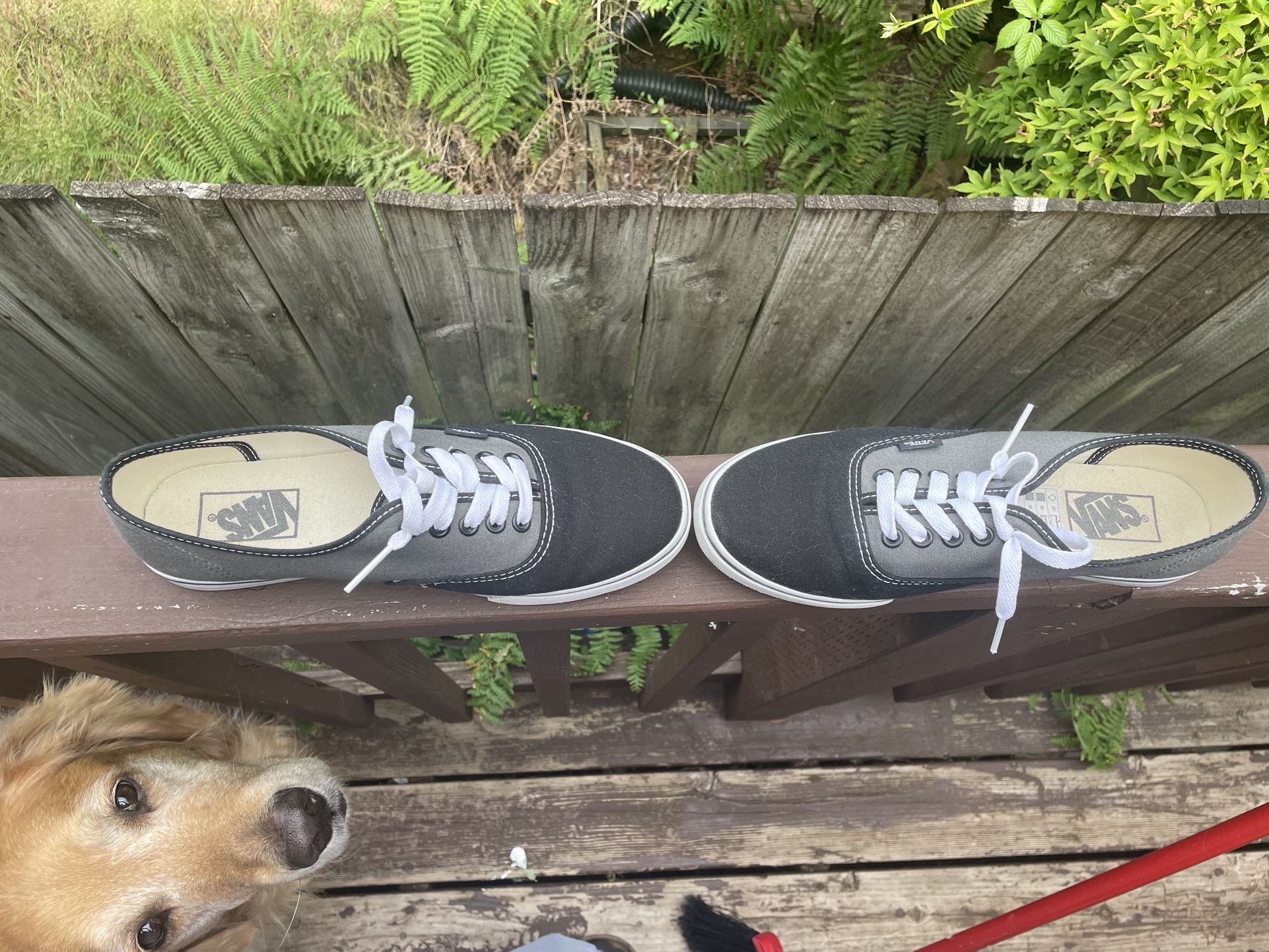 Black And Grey Women’s Vans