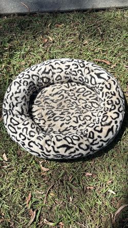 FREE CAT / SMALL DOG BED