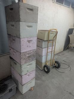 Bee boxes, 8 frame