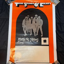 TSOL Beneath The Shadows Original Promo Poster