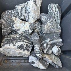 Aquatic Zebra Rock White Tiger Stone 