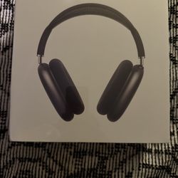 Apple headphone (MaX)