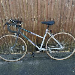 Ladies Full Size 12 Speed Bike