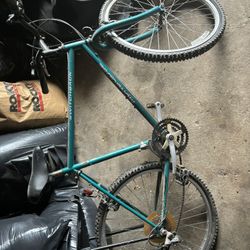 Mongoose