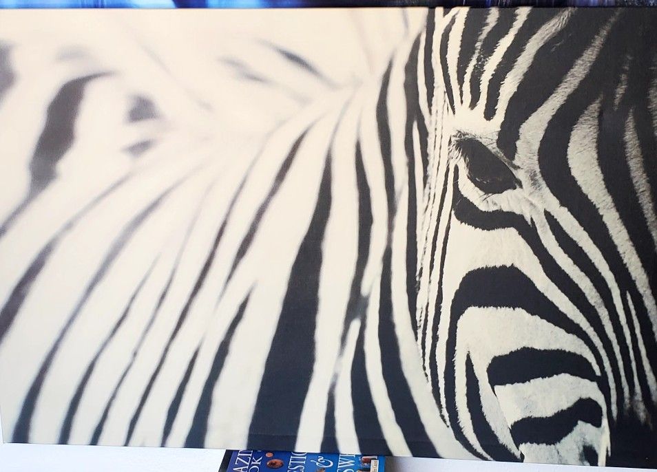 IKEA Zebra Canvas Painting 46.5 x 31