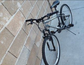Bike roadmaster