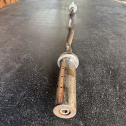 Olympic Curl Bar