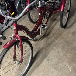 Schwinn Adult  Tricycle 