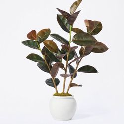 35” Inch Rubber Tree - Home Decor Tree