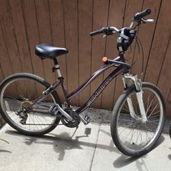 Schwinn Bike Beach Cruiser