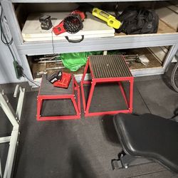 Workout Step Up Steps