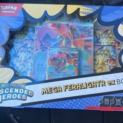 Pokémon AH Mega Feraligatr Ex Box 