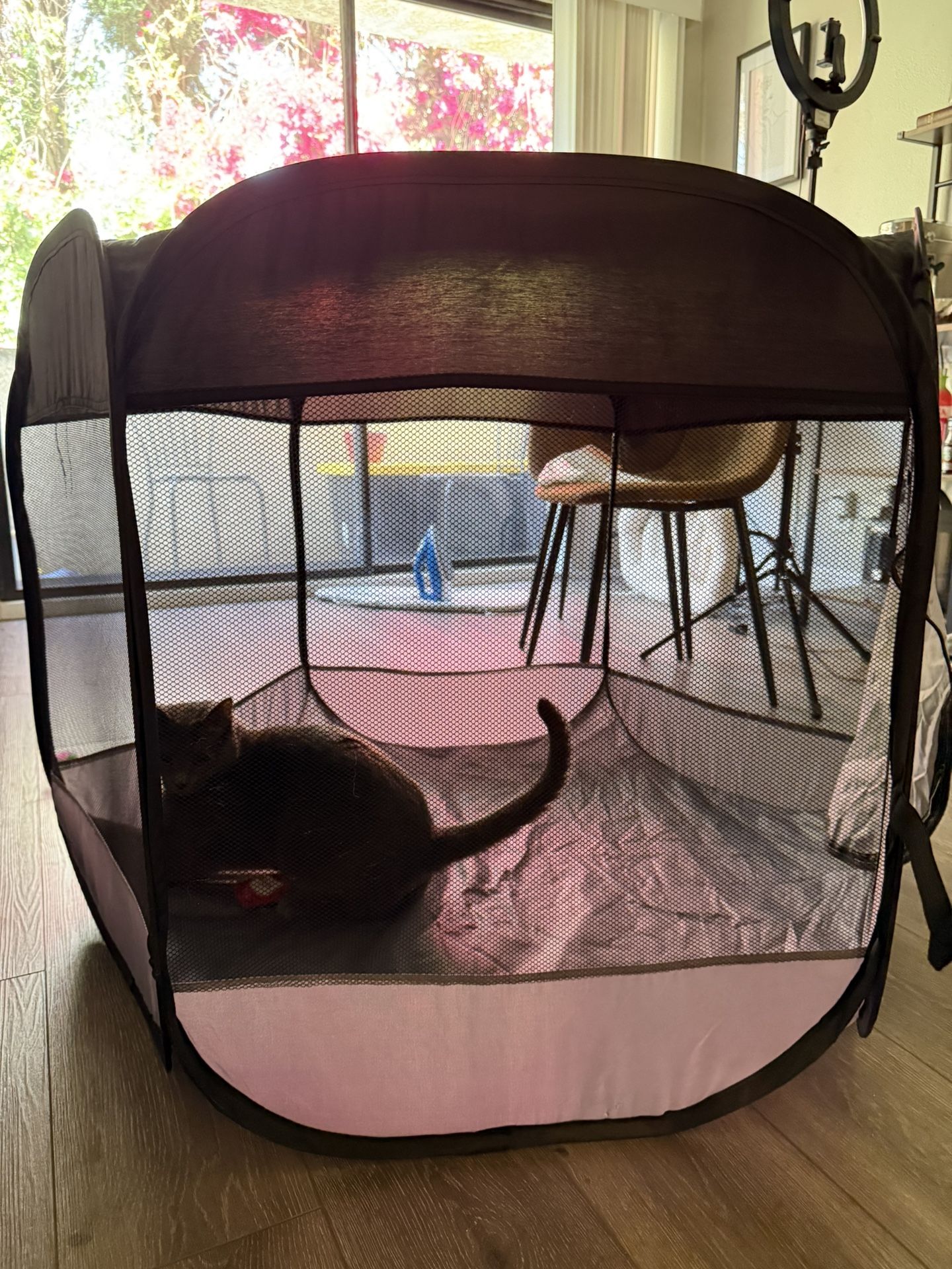 Pet Portable Pen