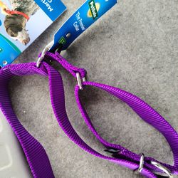 New! Purple Dog Collar Size L 