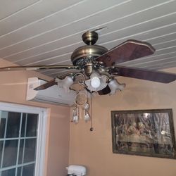 Celing Fan