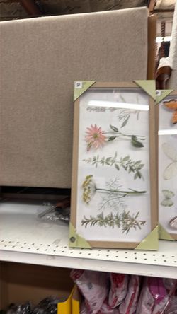 Botanical Framed Wall Art Print