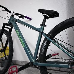 Schwinn Axum Sport 29” Medium Frame custom Build 