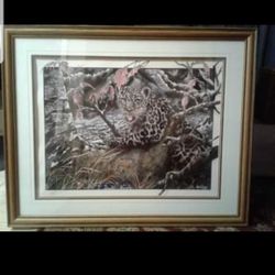 Framed Snow Leopard Print Numbered Lithograph
