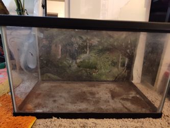 10gal Aquarium With Screen Lid 20" L X 12.5 H X 10.5 W