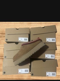 Ugg Tazz 11