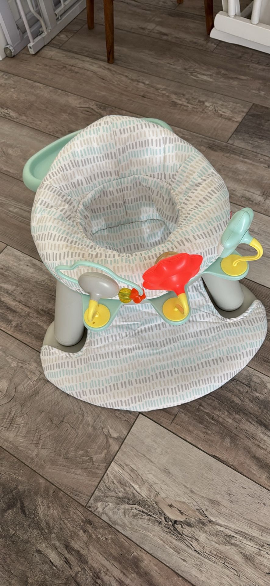Skip Hop Baby Activity And Seat