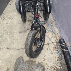 Electric Bike 