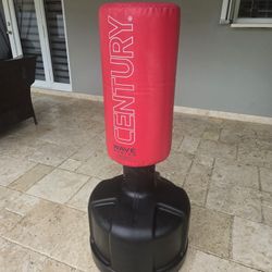 Free standing punching bag