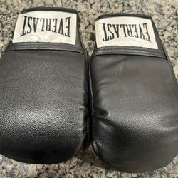 EVERLAST PO00572 BOXING GLOVES