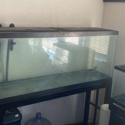 55 Gallon Tank & Stand