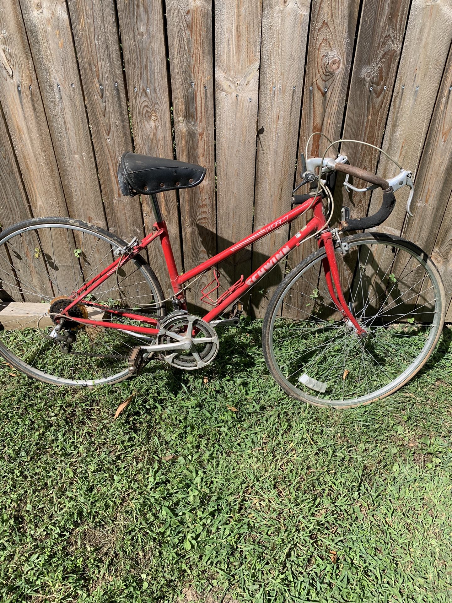 Vintage Schwinn World Bike 